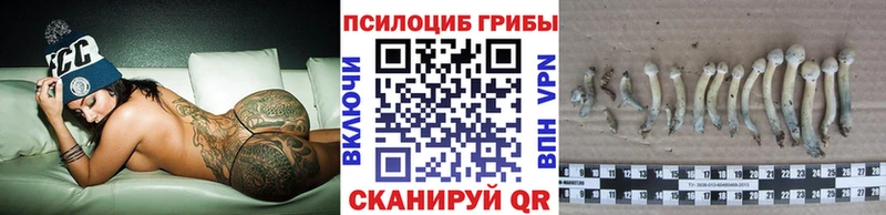 Псилоцибиновые грибы Psilocybe  Шимановск 